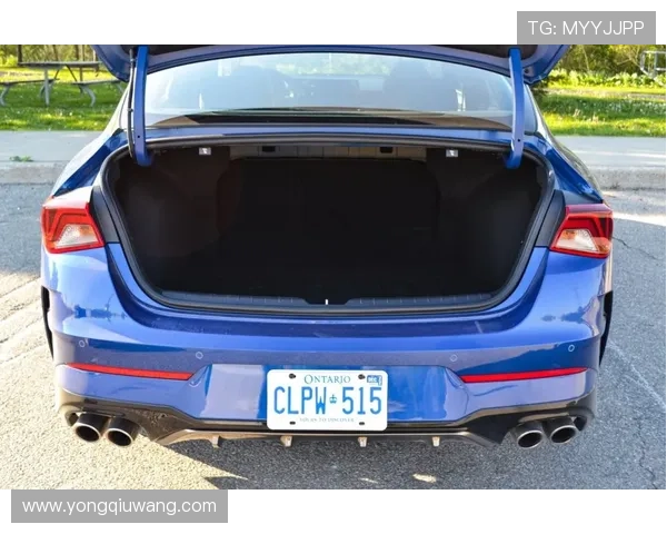 业余运动者健康管理课程成为热门选择，助力提升体能与生活质量